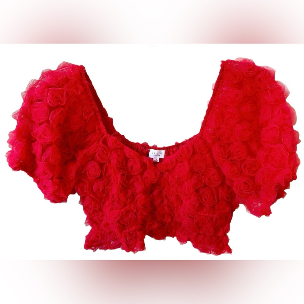 Le Lis Red Floral Mesh Crop Top